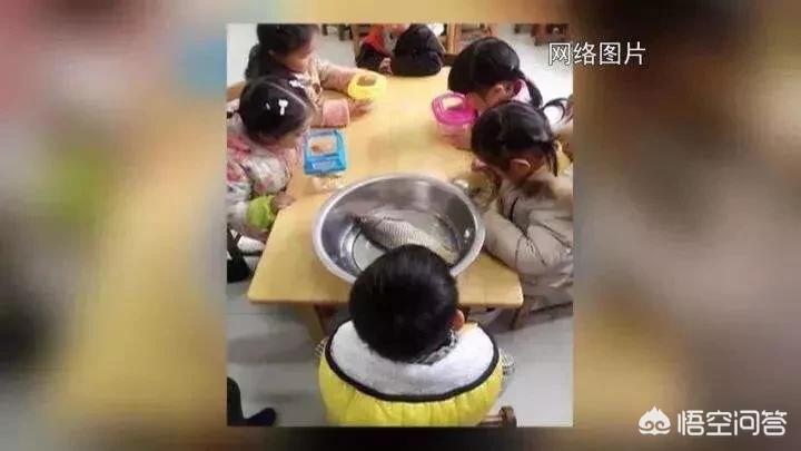 不得给家长布置作业与不得给家长布置作业或让家长代为评改作业