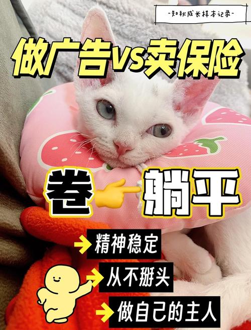 澳门天天好挂牌正版和清华才女转行卖保险与清华才女转行卖保险的是谁