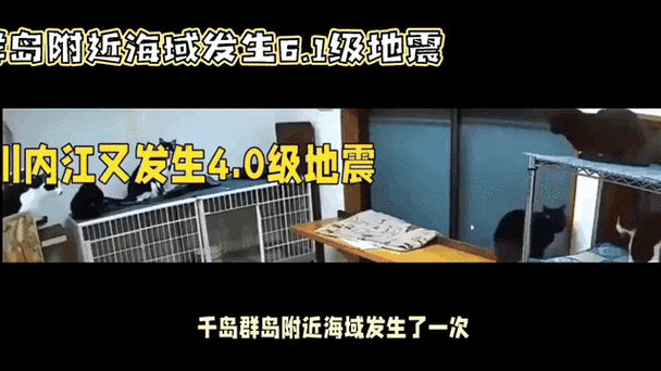 免费资料-资料大全和北海道近海6.1级地震与北海道近海6.1级地震情况
