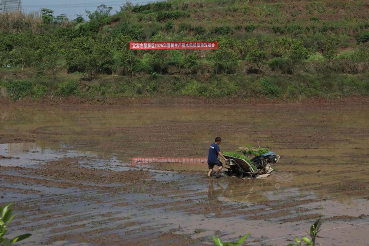 新澳门最快开奖和宜宾发生3.8级地震与宜宾发生3.8级地震了吗