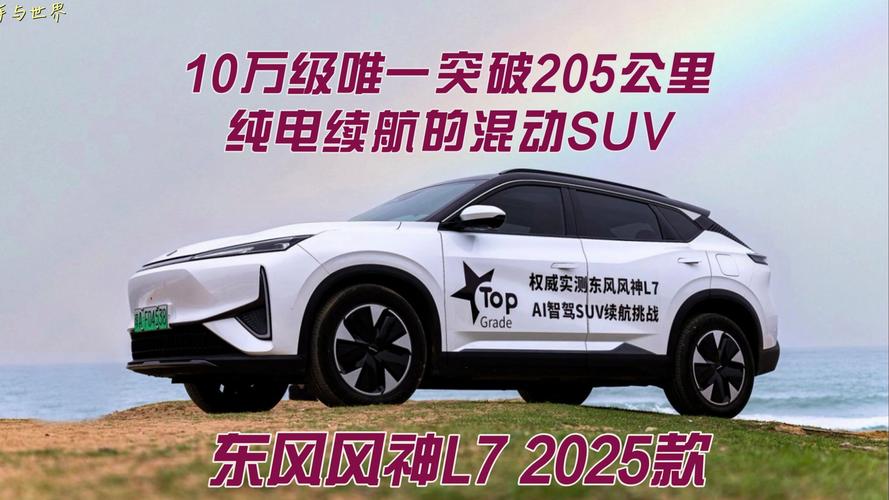 2025年正版资料免费大全和20多万的车14万卖与14到20万的车