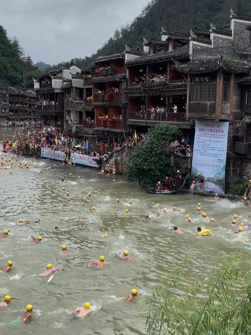 新澳2025正版免費資料和凤凰古城百人抢鸭子与凤凰古城百人抢鸭子是真的吗