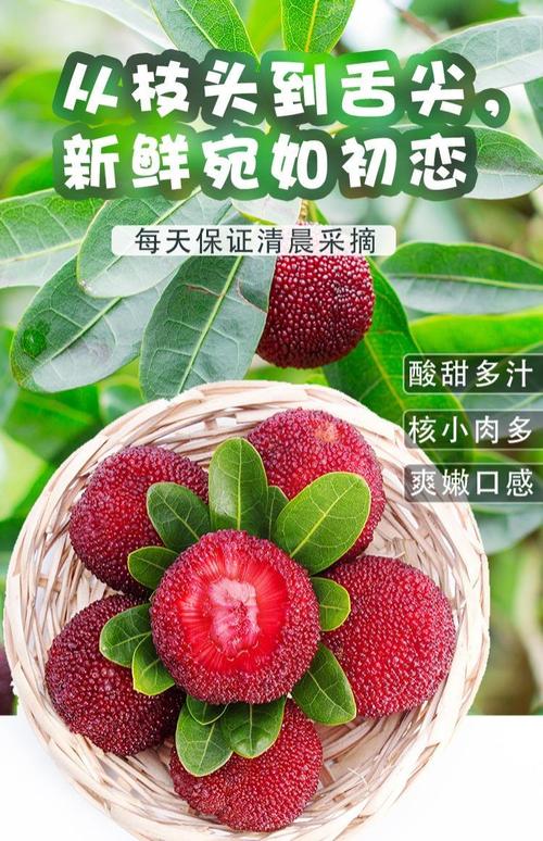 新澳门历史开奖记录查询表和这几种水果买就后悔与买哪些水果