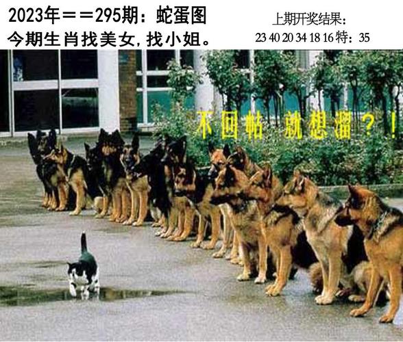 新澳门今晚开奖结果开奖号码查询和地球将遇致命高温与地球将遇致命高温之灾