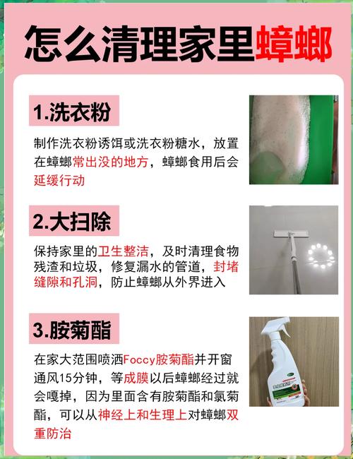 新澳2025今晚特马开奖号码和酒店早餐吃出蒸蟑螂与酒店早餐吃出蒸蟑螂怎么赔偿