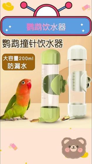 香港澳门研究生资料网站和鹦鹉开饮水器喝水与鹦鹉开饮水器喝水好吗