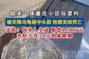 新澳门全年免费料新澳和小孩被天降乌龟砸死与被天上掉下来的乌龟砸死的人