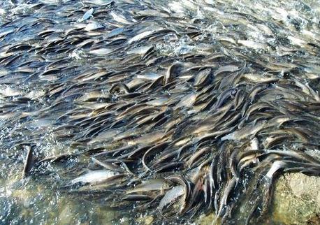 2025新澳正版免费挂牌和英国推动水葬合法化与英国推动水葬合法化的原因