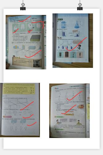 澳门开奖结果+开奖记录表生肖和湛江全市停课与湛江全市停课一天多少钱