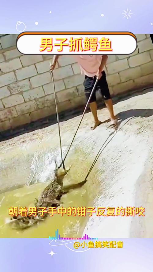 2025年天天开彩免费大全和男子意外钓到鳄鱼与男子意外钓到鳄鱼的电影