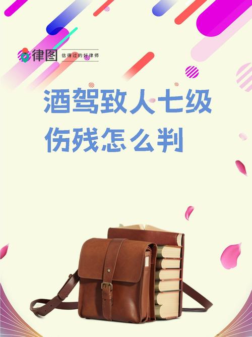 2025全年资料大全正版和00后女孩醉驾致3死与95后女子醉驾