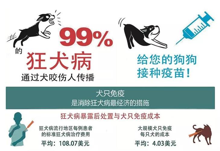 2025新澳门正版免费挂牌和被狗咬3个月后去世与狗咬我三个月后死了