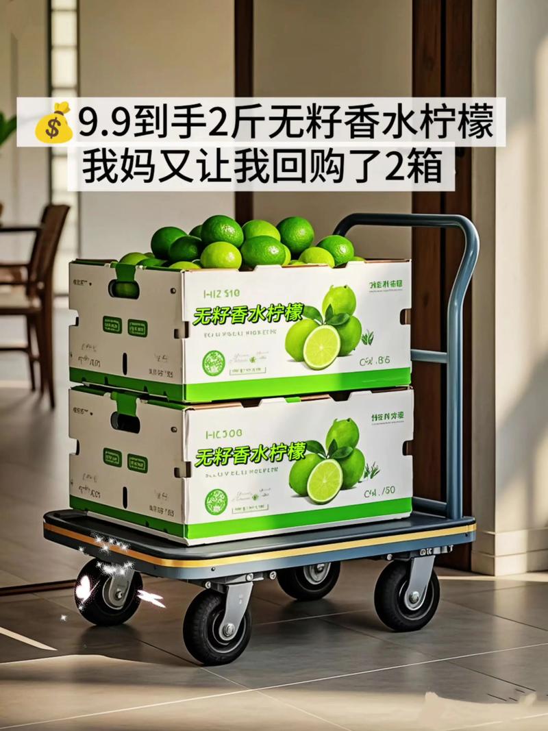 2025全年資料免費大全和柠檬价格涨了3倍与柠檬价格涨了3倍怎么办
