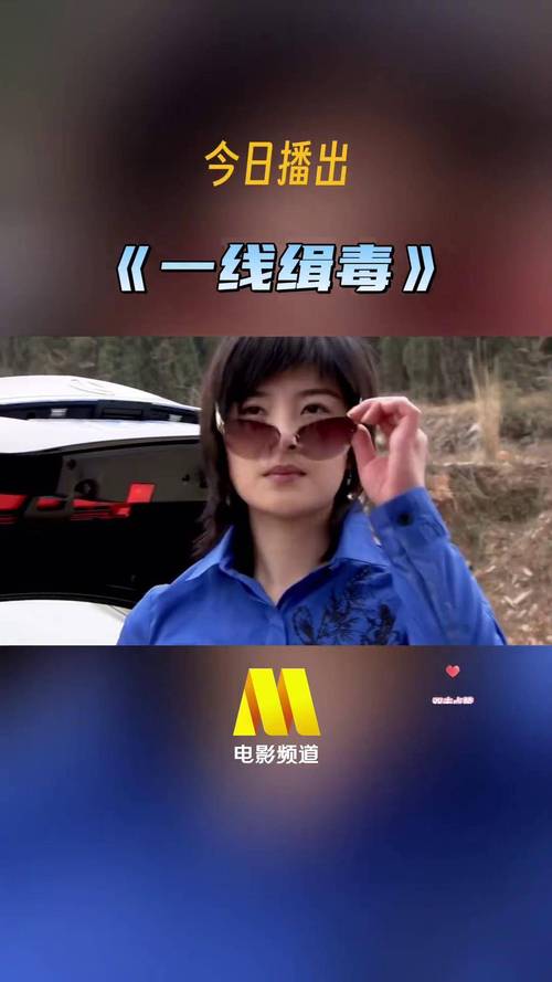 新澳2025资料最新大全和第一视角看缉毒一线与第一视角看缉毒一线警察视频