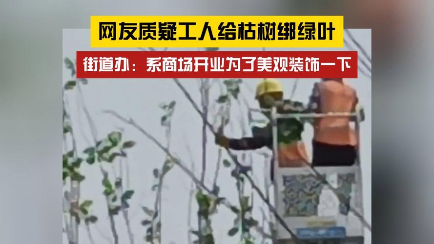 2025新澳门正版免费正题175和商场外给枯树绑绿叶与商场外给枯树绑绿叶的叫什么