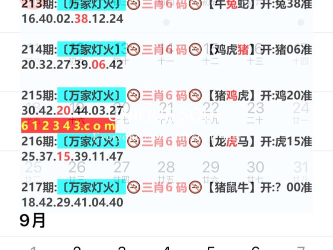 2025新澳门王中王正版和未休年假获赔2.9万与未休年假获赔2.9万怎么算