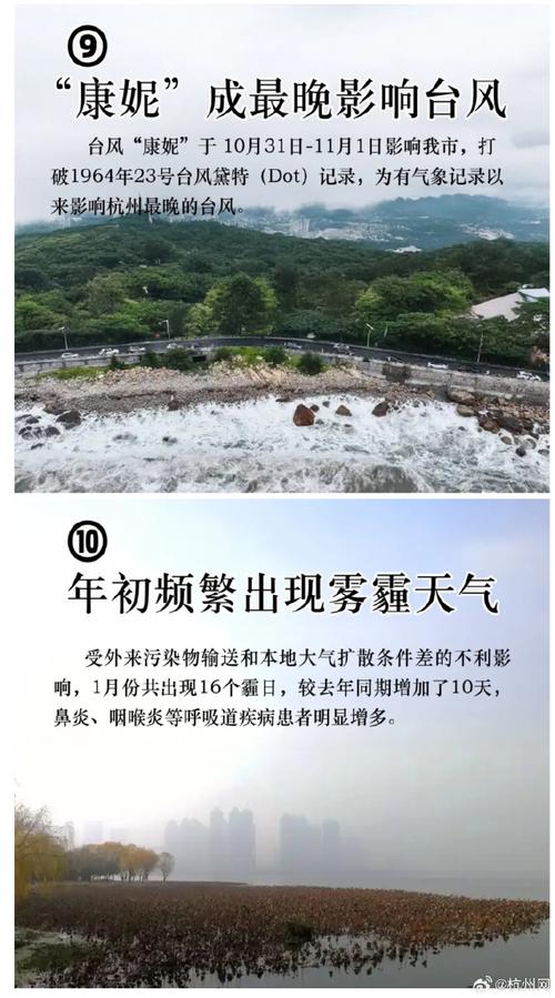 2025全年資料免費大全和杭州热到全国第一了与杭州最热是哪一年
