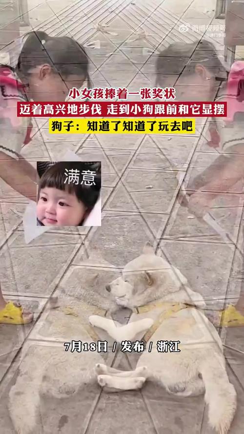 新澳门彩出号综合走势和村里每年给狗发奖状与村里每年给狗发奖状违法吗