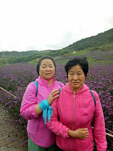 新奥今晚买什么和青海一草原7月下雪与青海七月下雪