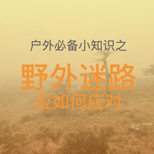 49图库下载-49图库港澳正版下载和徒步掉队迷路后身亡与徒步掉队迷路后身亡怎么办