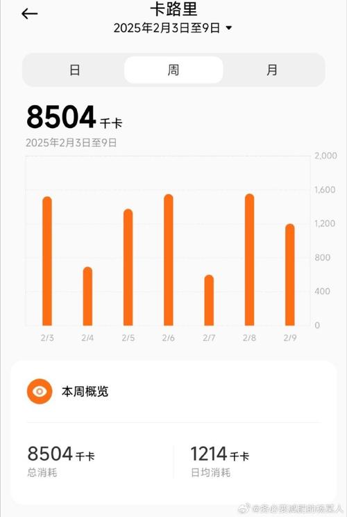 2025澳门特马开奖查询和全家一起减肥瘦40斤与全家人一起减肥